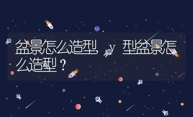 盆景怎么造型,y型盆景怎么造型？ | 养殖常见问题