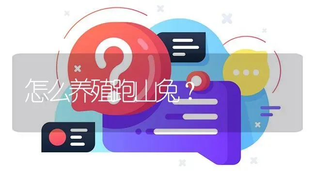 怎么养殖跑山兔? | 养殖问题解答
