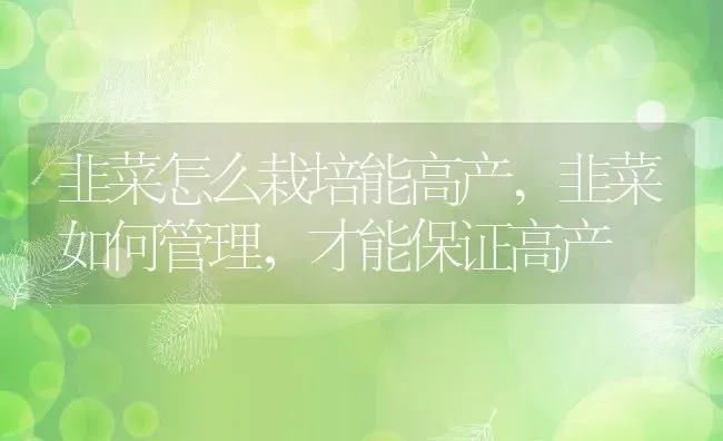 韭菜怎么栽培能高产,韭菜如何管理，才能保证高产 | 养殖常见问题