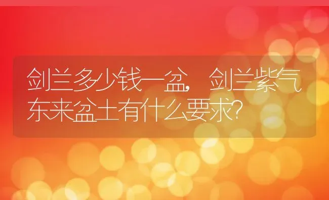 剑兰多少钱一盆,剑兰紫气东来盆土有什么要求？ | 养殖常见问题