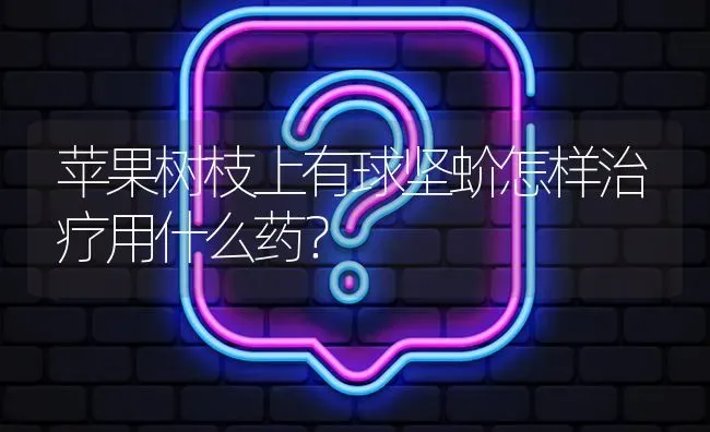 苹果树枝上有球坚蚧怎样治疗用什么药? | 养殖问题解答