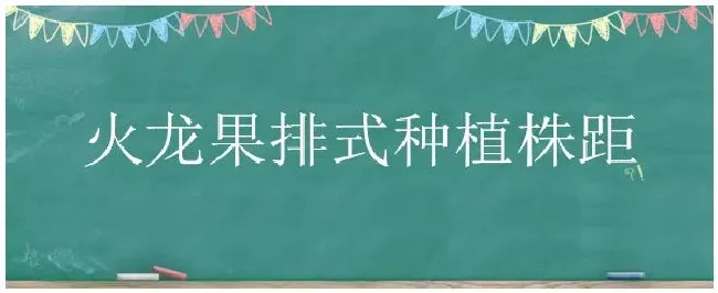 火龙果排式种植株距 | 三农答疑