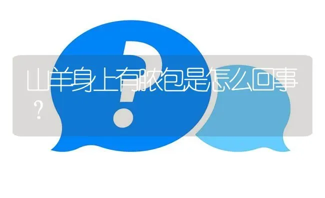 山羊身上有脓包是怎么回事? | 养殖问题解答