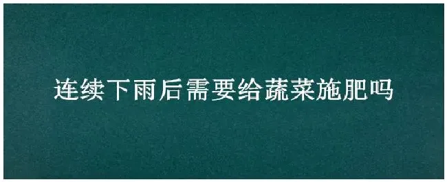 连续下雨后需要给蔬菜施肥吗 | 农业常识