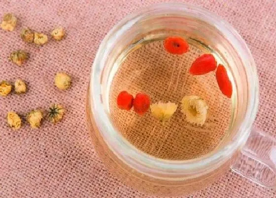 植物常识问题|冬天喝什么花茶好 女人冬季喝什么花茶排毒养颜