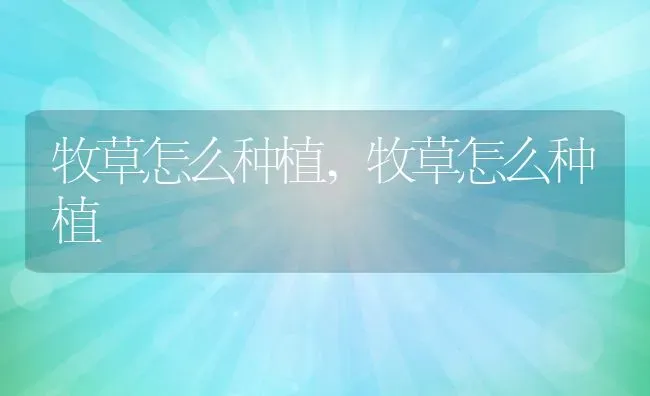 牧草怎么种植,牧草怎么种植 | 养殖常见问题