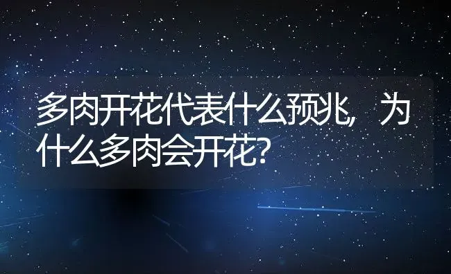 多肉开花代表什么预兆,为什么多肉会开花？ | 养殖常见问题