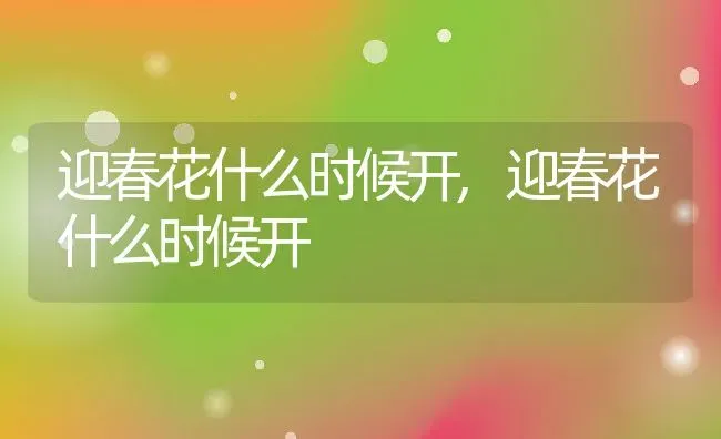 迎春花什么时候开,迎春花什么时候开 | 养殖常见问题