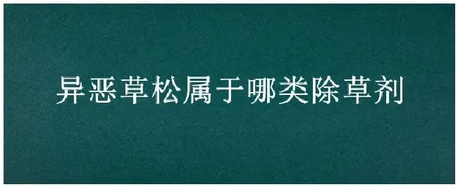 异恶草松属于哪类除草剂 | 农业常识