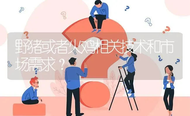 野猪或者火鸡相关技术和市场需求? | 养殖问题解答