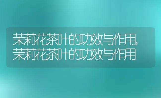 太阳花种植时间和方法养殖方法与技巧,太阳花的习性？ | 养殖常见问题