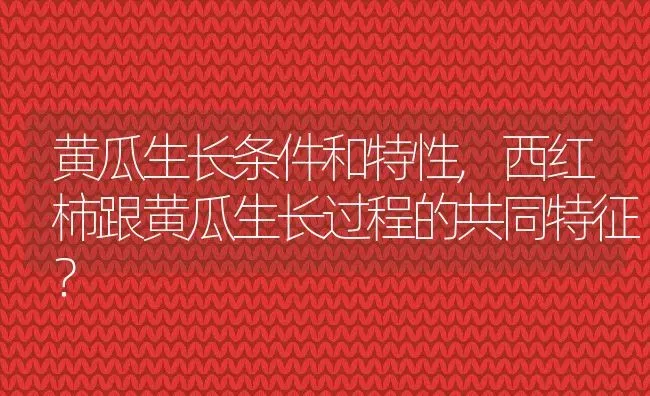 黄瓜生长条件和特性,西红柿跟黄瓜生长过程的共同特征？ | 养殖常见问题