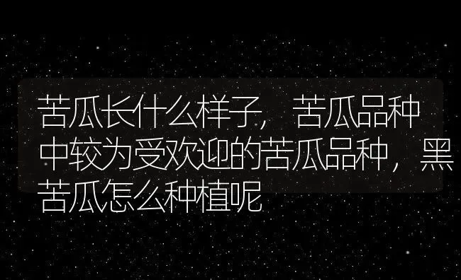 苦瓜长什么样子,苦瓜品种中较为受欢迎的苦瓜品种，黑苦瓜怎么种植呢 | 养殖常见问题