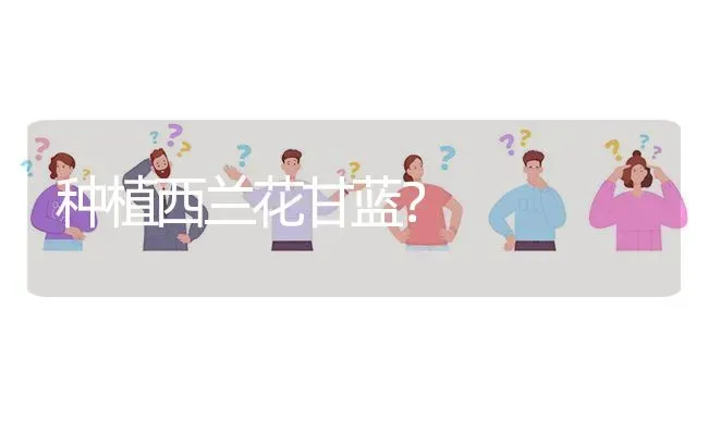 种植西兰花甘蓝? | 养殖问题解答