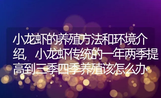 小龙虾的养殖方法和环境介绍,小龙虾传统的一年两季提高到三季四季养殖该怎么办 | 养殖常见问题