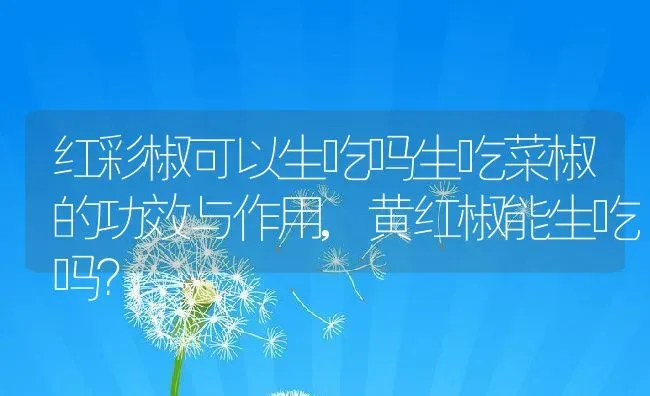 红彩椒可以生吃吗生吃菜椒的功效与作用,黄红椒能生吃吗？ | 养殖常见问题