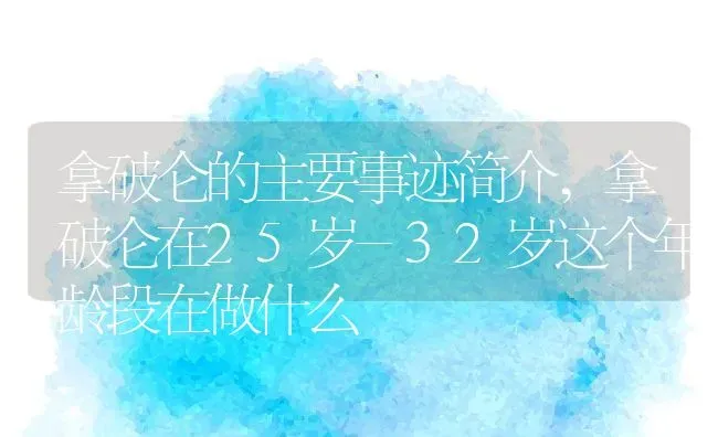 拿破仑的主要事迹简介,拿破仑在25岁-32岁这个年龄段在做什么 | 养殖常见问题