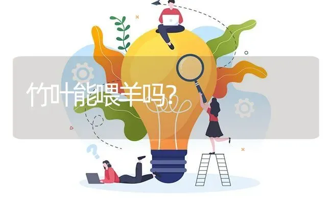 竹叶能喂羊吗? | 养殖问题解答