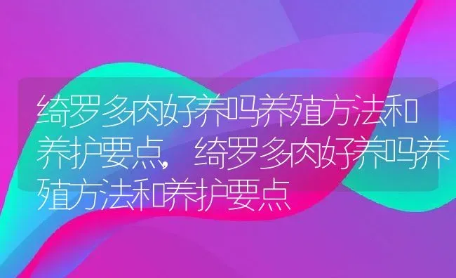 绮罗多肉好养吗养殖方法和养护要点,绮罗多肉好养吗养殖方法和养护要点 | 养殖常见问题