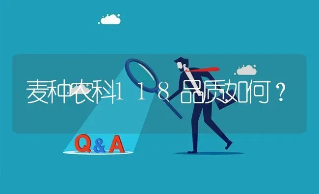 麦种农科118品质如何? | 养殖问题解答