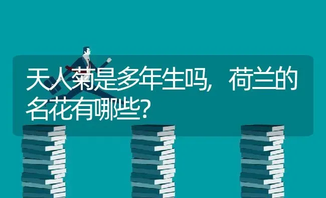 天人菊是多年生吗,荷兰的名花有哪些？ | 养殖常见问题