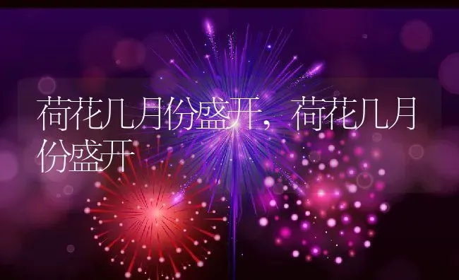 荷花几月份盛开,荷花几月份盛开 | 养殖常见问题