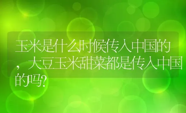 玉米是什么时候传入中国的,大豆玉米甜菜都是传入中国的吗？ | 养殖常见问题