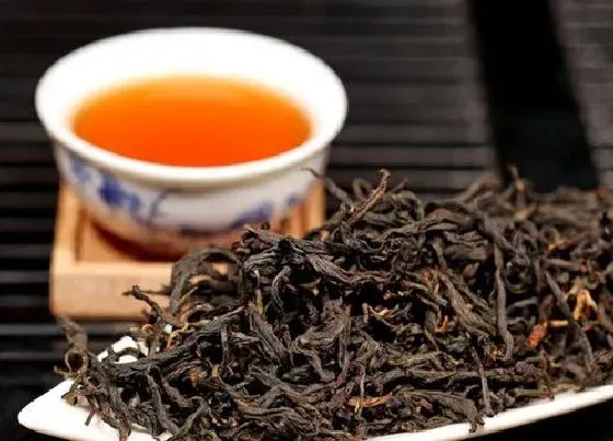 植物常识问题|红茶有哪些品种 常见的红茶种类名称及排名