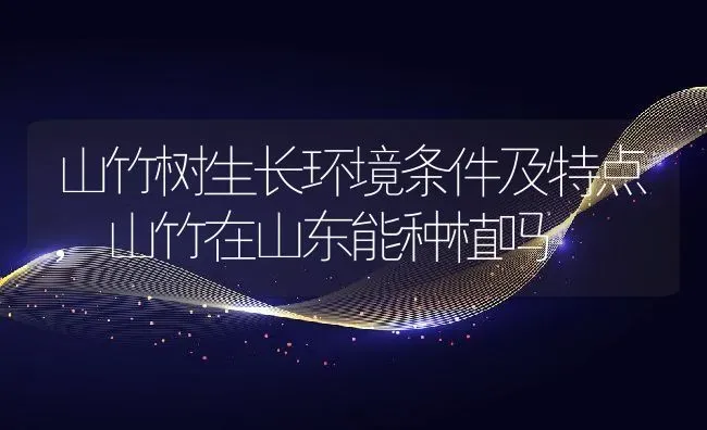 山竹树生长环境条件及特点,山竹在山东能种植吗 | 养殖常见问题
