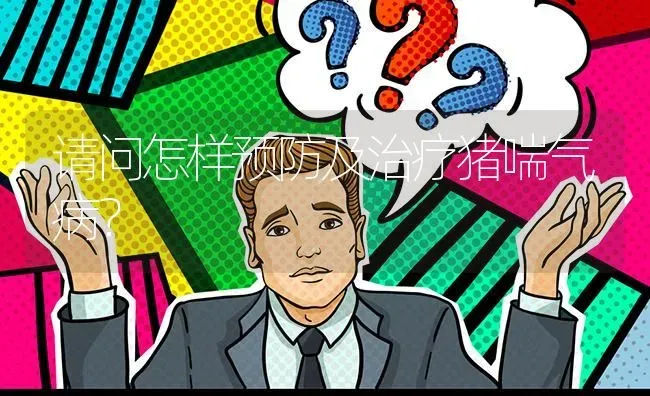 请问怎样预防及治疗猪喘气病? | 养殖问题解答