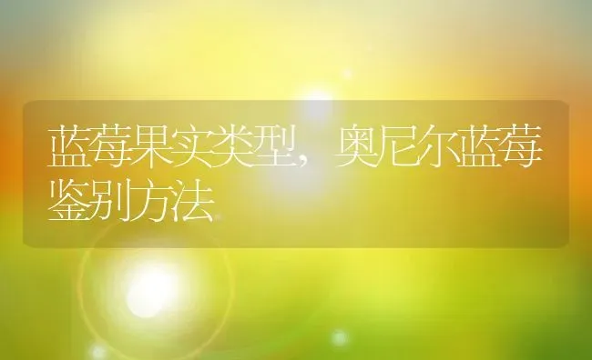 蓝莓果实类型,奥尼尔蓝莓鉴别方法 | 养殖常见问题