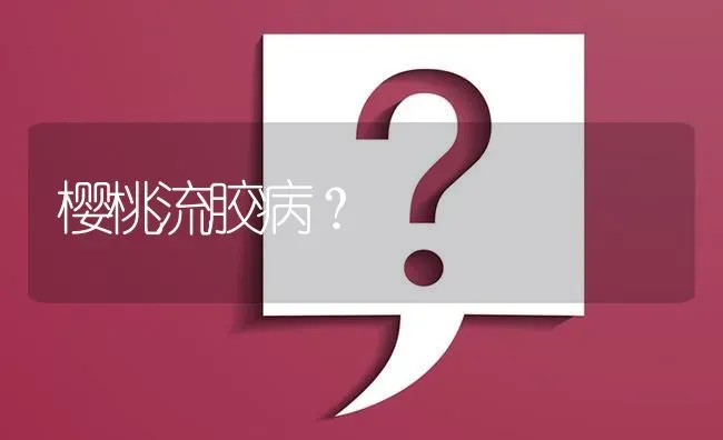 樱桃流胶病? | 养殖问题解答