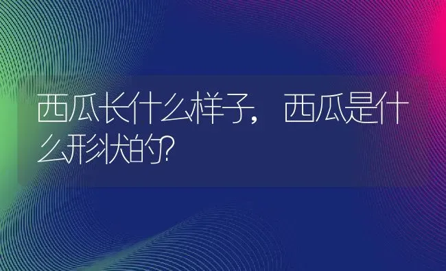 西瓜长什么样子,西瓜是什么形状的？ | 养殖常见问题