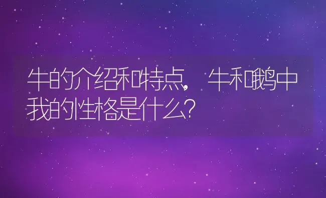 牛的介绍和特点,牛和鹅中我的性格是什么？ | 养殖常见问题