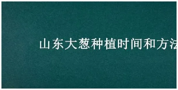 山东大葱种植时间和方法 | 农业答疑