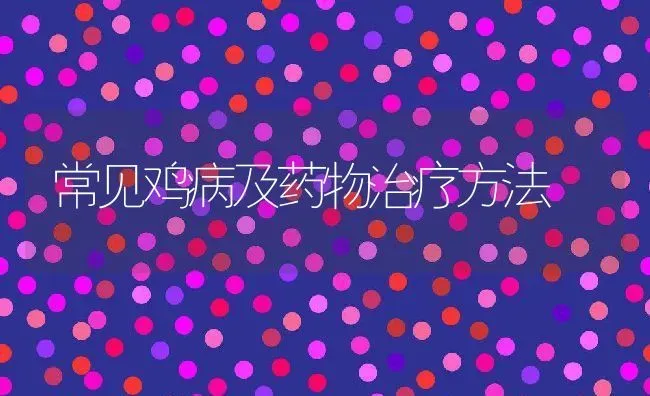 常见鸡病及药物治疗方法 | 养殖常见问题
