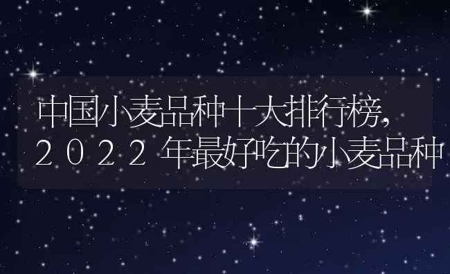 中国小麦品种十大排行榜,2022年最好吃的小麦品种 | 养殖常见问题