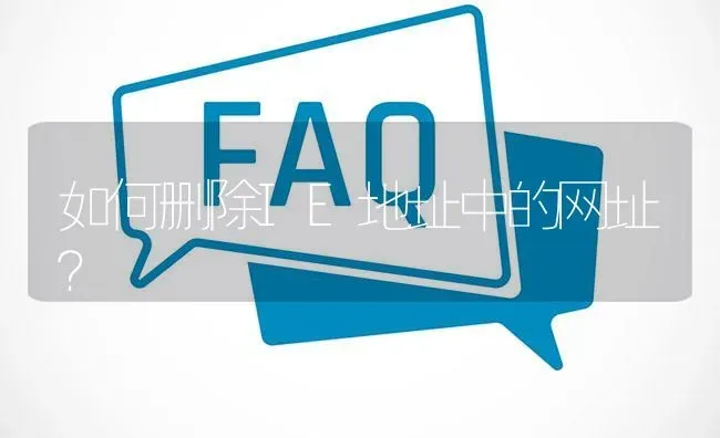 如何删除IE地址中的网址? | 养殖问题解答