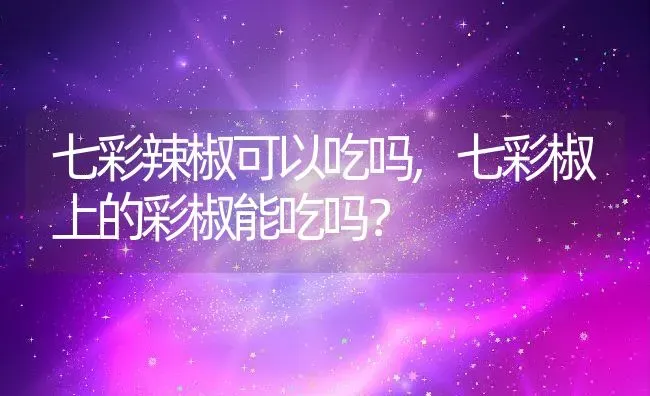七彩辣椒可以吃吗,七彩椒上的彩椒能吃吗？ | 养殖常见问题