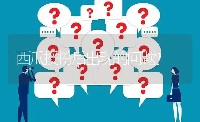 西瓜授粉后出现的问题? | 养殖问题解答