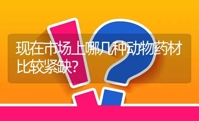现在市场上哪几种动物药材比较紧缺? | 养殖问题解答