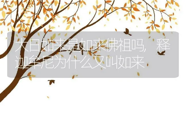 大日如来是如来佛祖吗,释迦牟尼为什么又叫如来 | 养殖常见问题