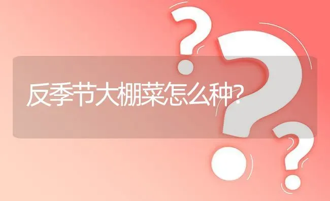 反季节大棚菜怎么种? | 养殖问题解答