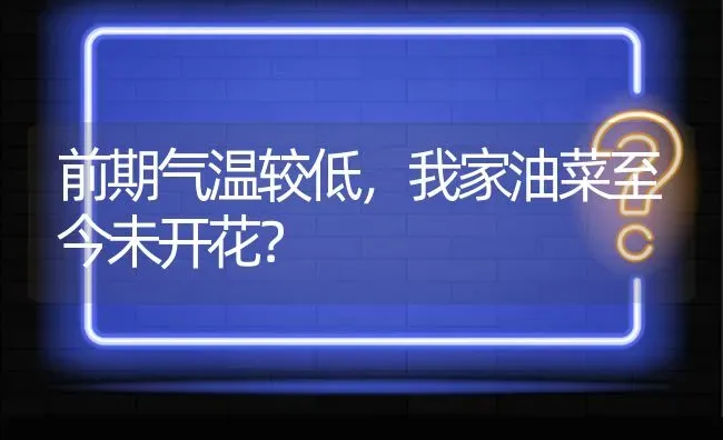 前期气温较低,我家油菜至今未开花? | 养殖问题解答