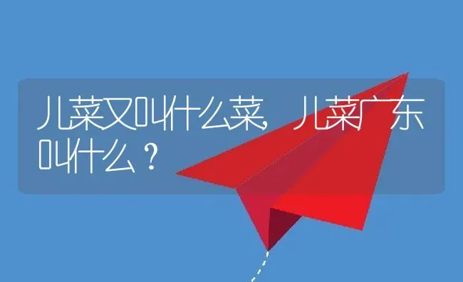 儿菜又叫什么菜,儿菜广东叫什么？ | 养殖常见问题