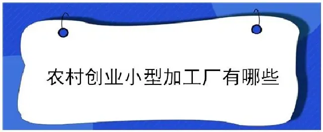 农村创业小型加工厂有哪些 | 农业答疑