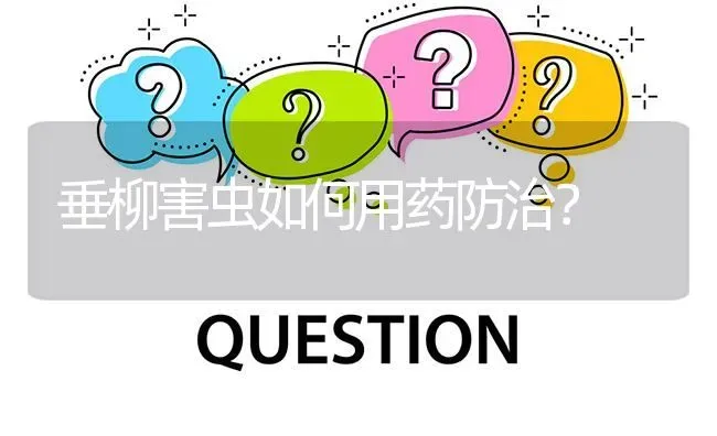 垂柳害虫如何用药防治? | 养殖问题解答