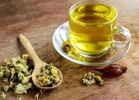 植物常识问题|冬天喝什么花茶好 女人冬季喝什么花茶排毒养颜