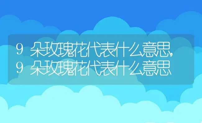 9朵玫瑰花代表什么意思,9朵玫瑰花代表什么意思 | 养殖常见问题