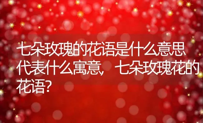 七朵玫瑰的花语是什么意思代表什么寓意,七朵玫瑰花的花语？ | 养殖常见问题